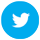 icon_twitter_big