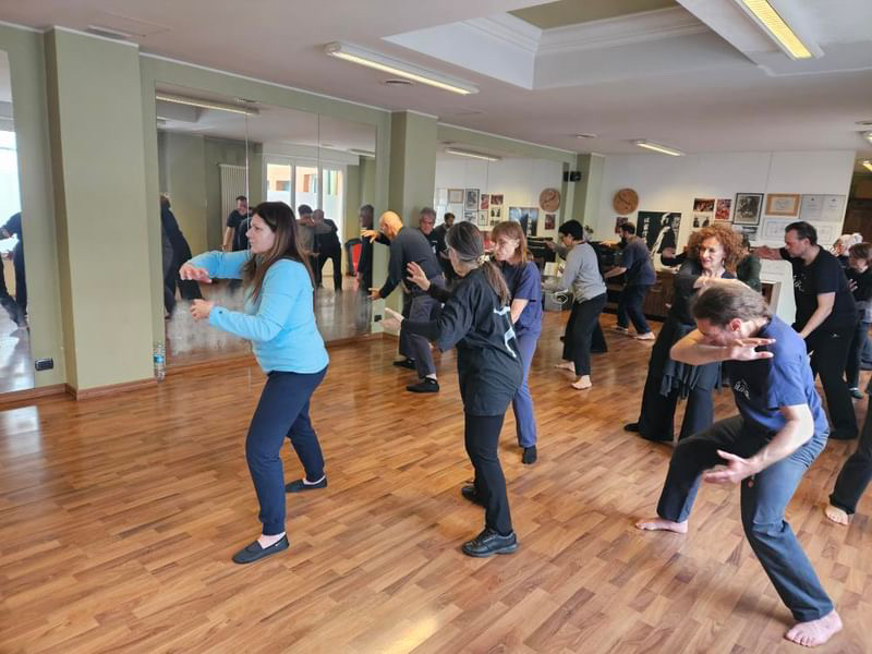 Stage Dojo Lissone 7