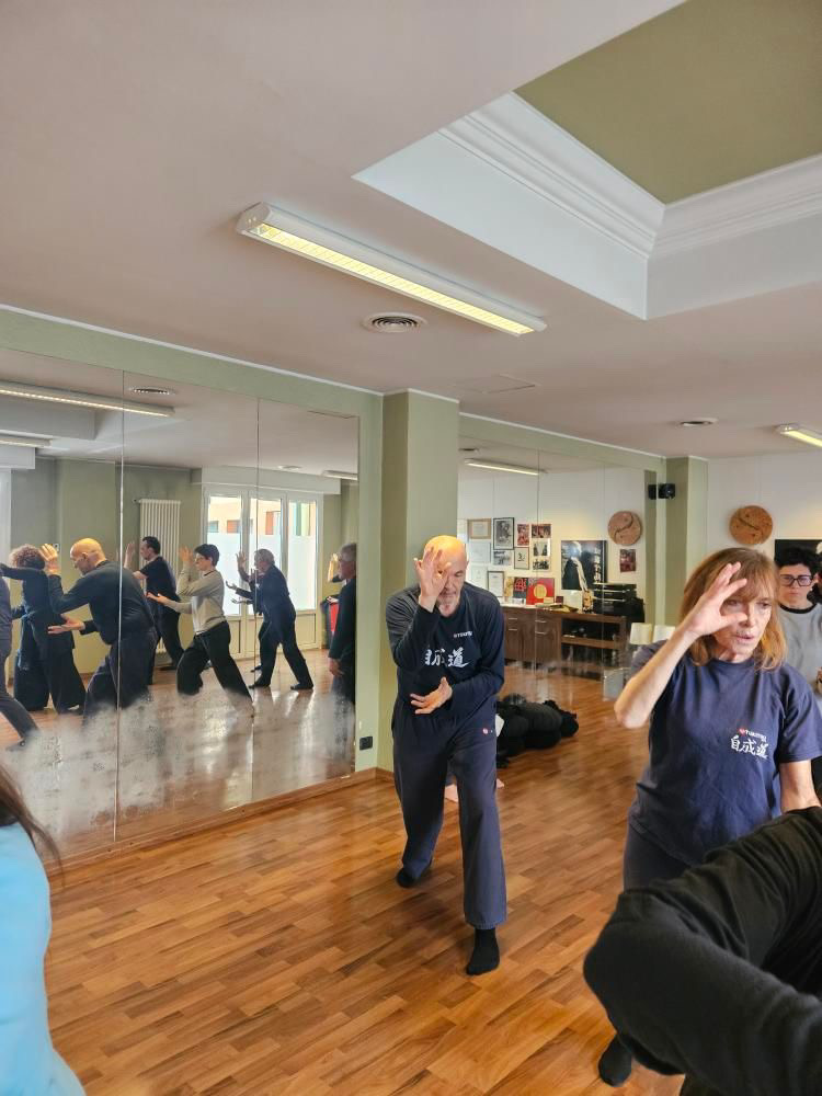 Stage Dojo Lissone 3
